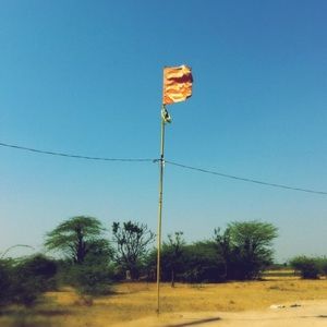 Meet your Posher, Paul